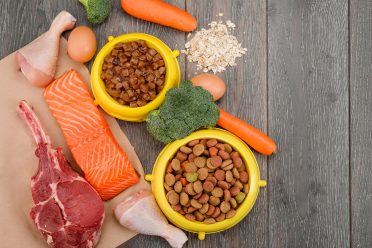 You can spend money on wet food, dry kibbles, and raw diet for your Border Collie