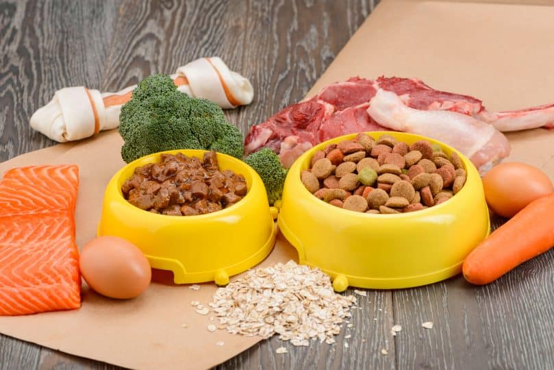 Different types of dog food for Border Collies
